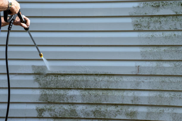 Best Siding for New Construction  in Clifton, AZ
